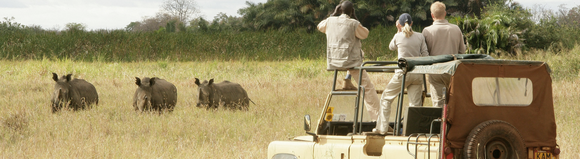 Bespoke luxury Safari Holiday - Kenya
