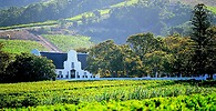 Cape Winelands