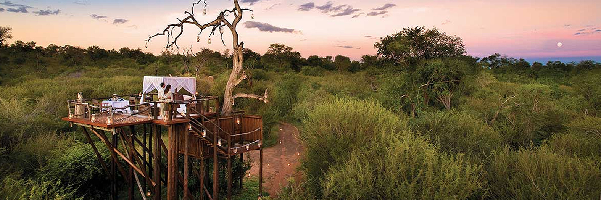Southern African Tree house