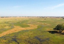 Spotlight - Kafue National Park, Zambia